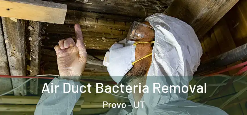 Air Duct Bacteria Removal Provo - UT