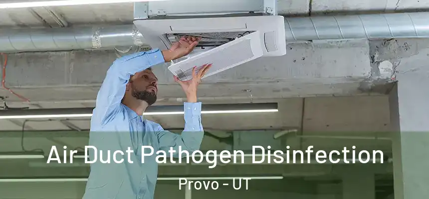 Air Duct Pathogen Disinfection Provo - UT