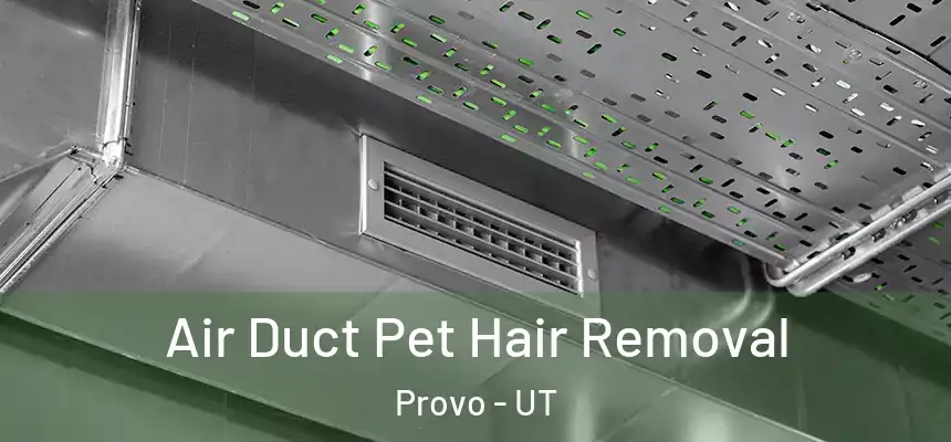  Air Duct Pet Hair Removal Provo - UT