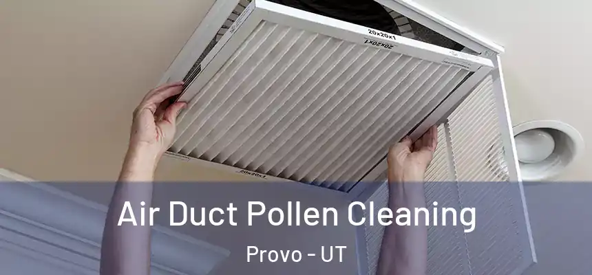 Air Duct Pollen Cleaning Provo - UT
