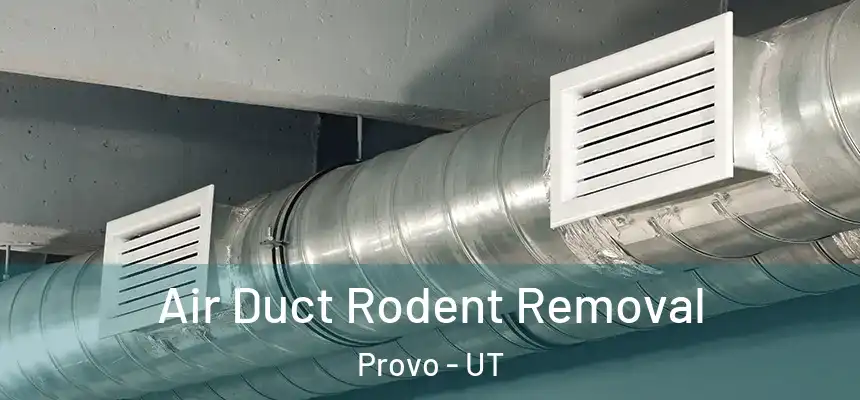 Air Duct Rodent Removal Provo - UT
