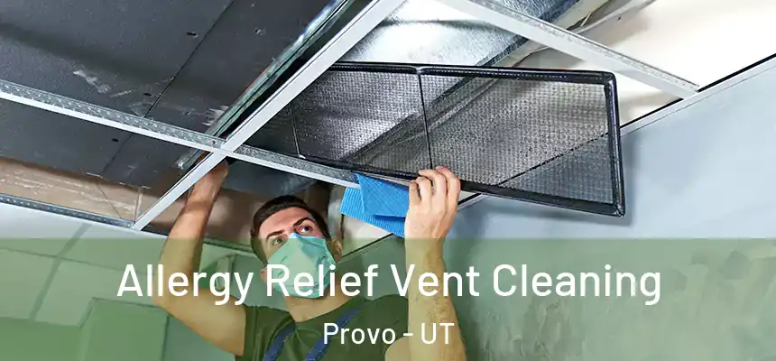  Allergy Relief Vent Cleaning Provo - UT