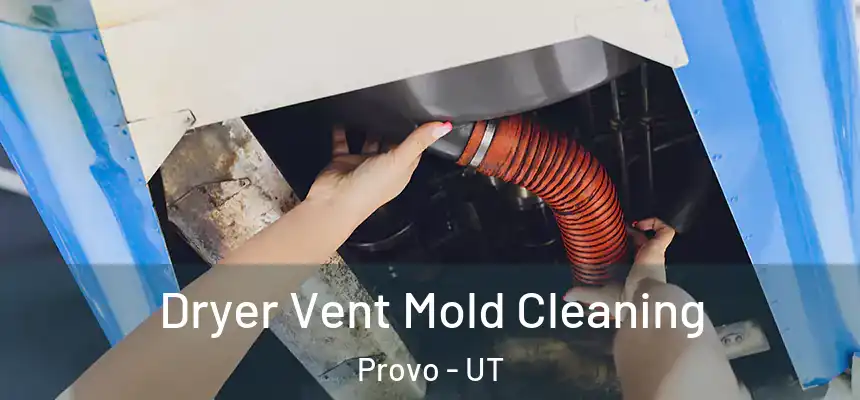 Dryer Vent Mold Cleaning Provo - UT