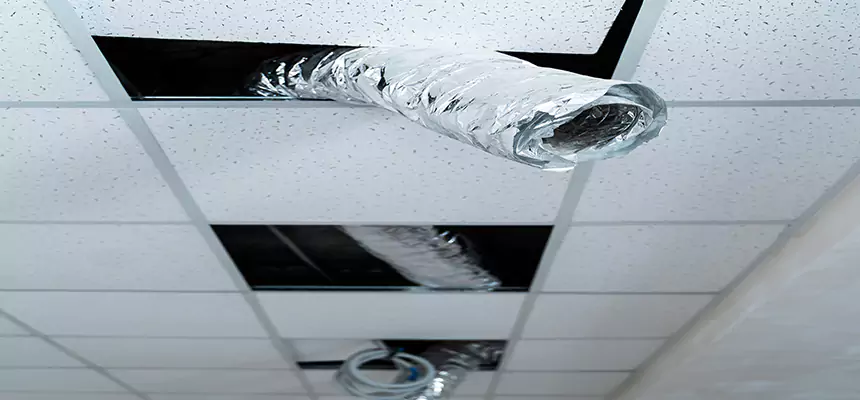 Our Air Duct Pet Hair Removal Services in Provo, UT