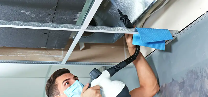 Our Air Duct Rodent Removal Services in Provo, UT