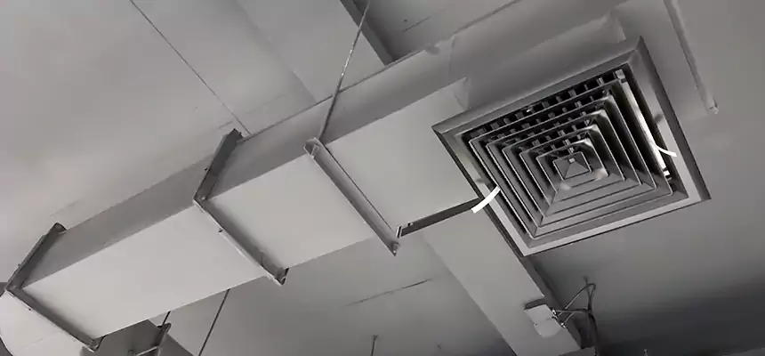 Our Pest Removal From Ducts Services in Provo, UT