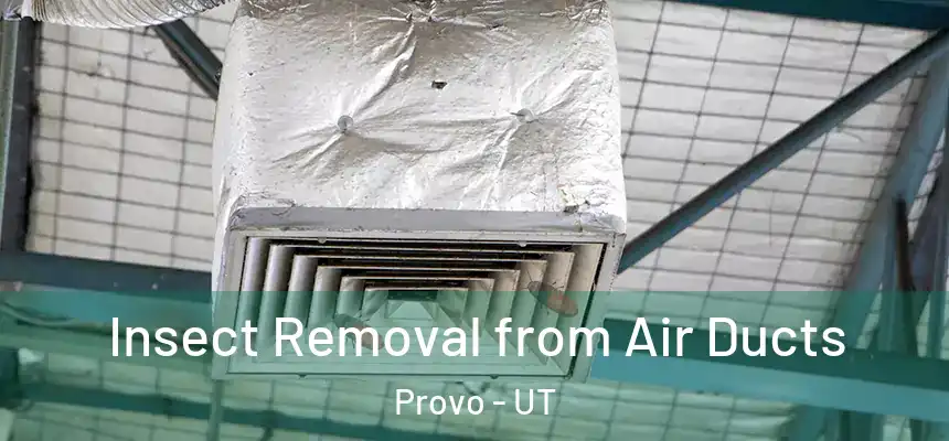 Insect Removal from Air Ducts Provo - UT