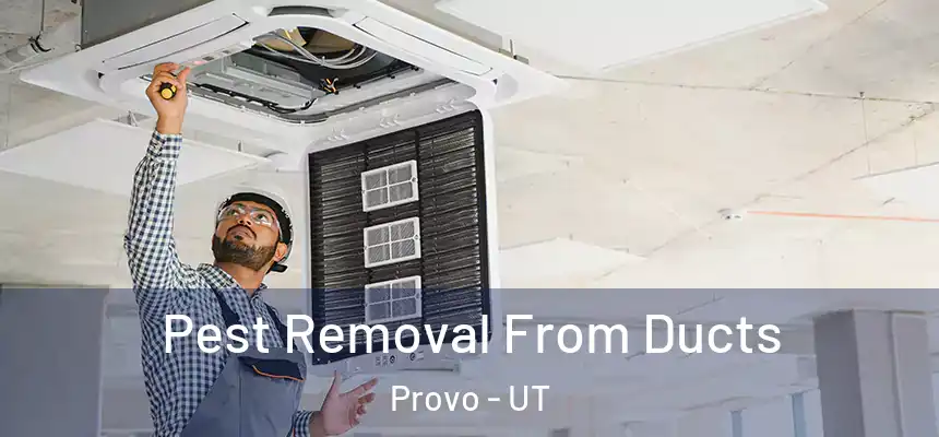Pest Removal From Ducts Provo - UT