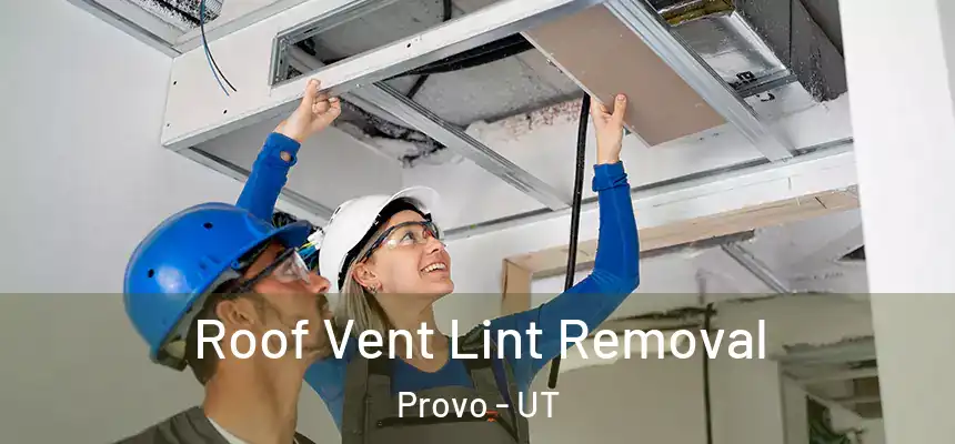 Roof Vent Lint Removal Provo - UT