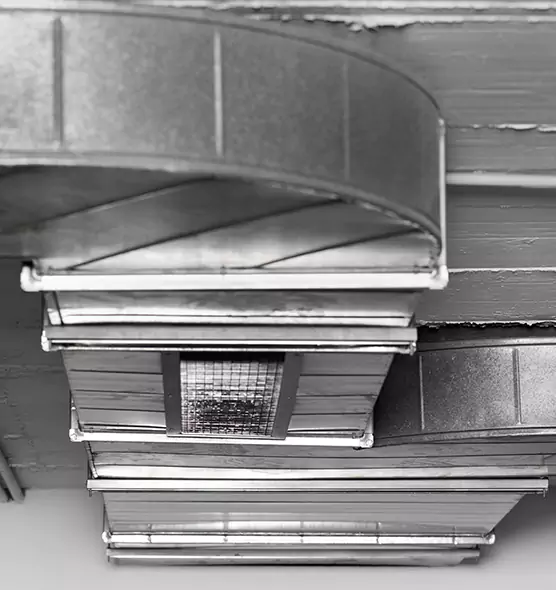 Professional Air Duct Pet Hair Removal in Provo, UT