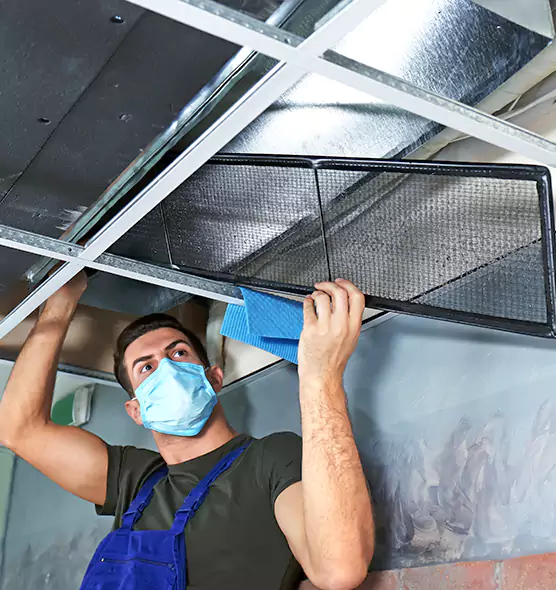 Professional Air Duct Pollen Cleaning in Provo, UT