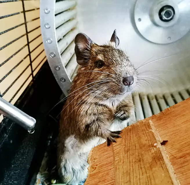 Why Homeowners & Businesses Trust Us Provo, UT