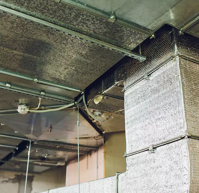 Why Homeowners & Businesses Trust Us in Provo, UT?